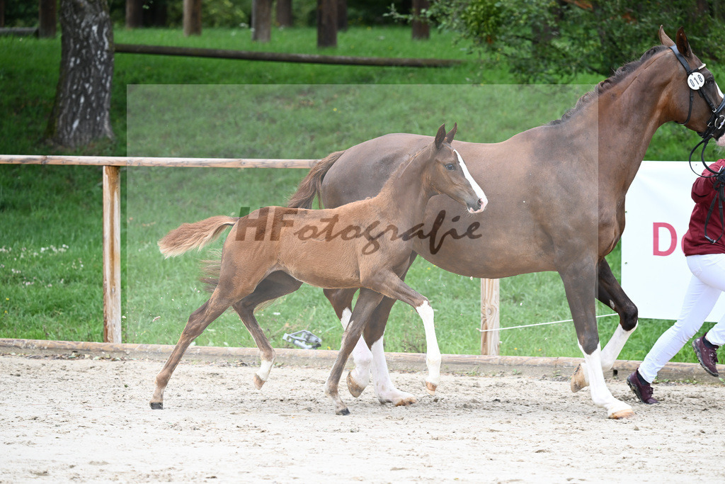 Kat-Nr. 18 SF Best Future_Galneder_25230446 | hf-fotografie - Realisiert mit Pictrs.com