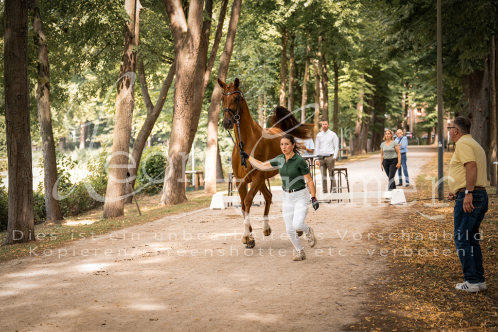 FrPfM00112 | Leoni Ertmer Photography - Realisiert mit Pictrs.com