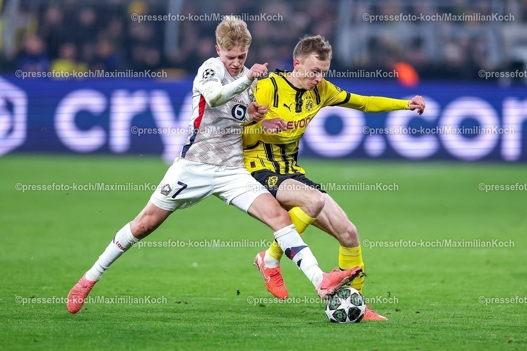 UCL04032501055 | 04.03.2025, Fußball, UEFA Champions League, Borussia Dortmund - OSC Lille, Signal Iduna Park, Runde der 16, Saison 2024 2025: Hakon Arnar Haraldsson (LOSC Lille #7) im Zweikampf gegen Maximilian Beier (BVB #14)