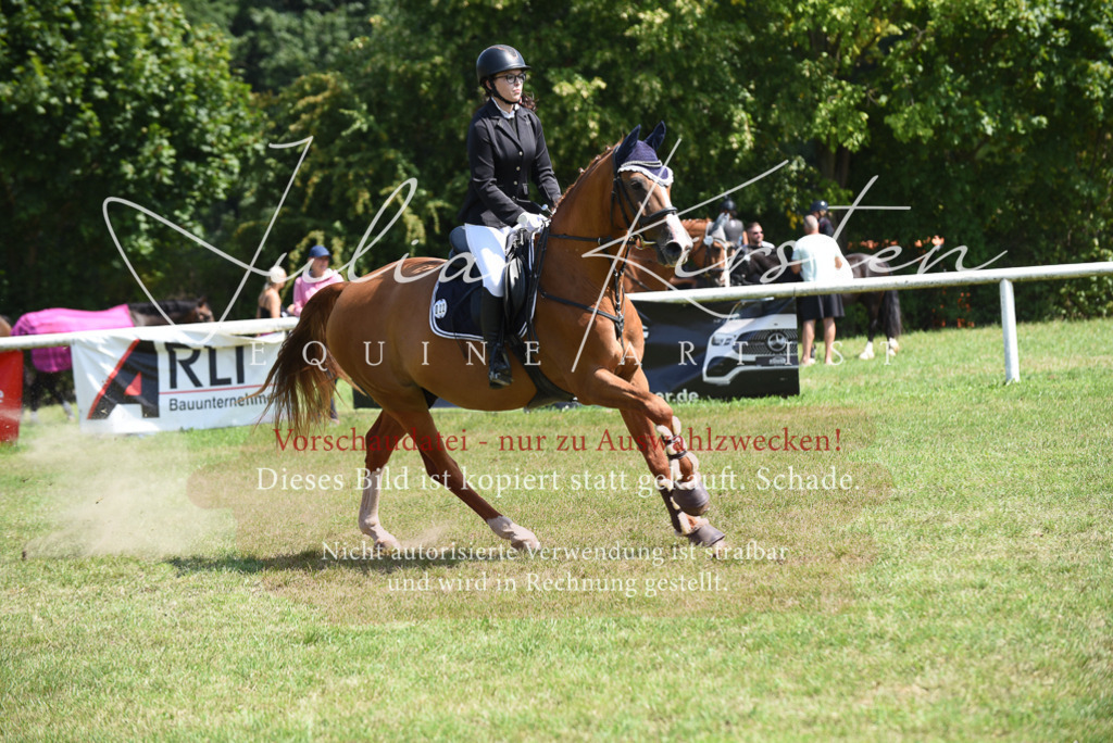 DSC_0017 | Pferde- und Turnierfotografie in Westsachsen. Pferdeportraits, Auftragszeichnungen und intuitive Kunst.