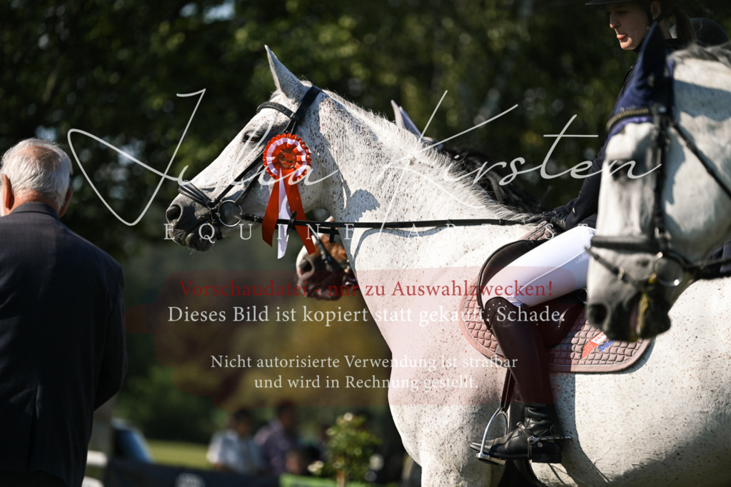 DSC_1543 | Pferde- und Turnierfotografie in Westsachsen. Pferdeportraits, Auftragszeichnungen und intuitive Kunst.