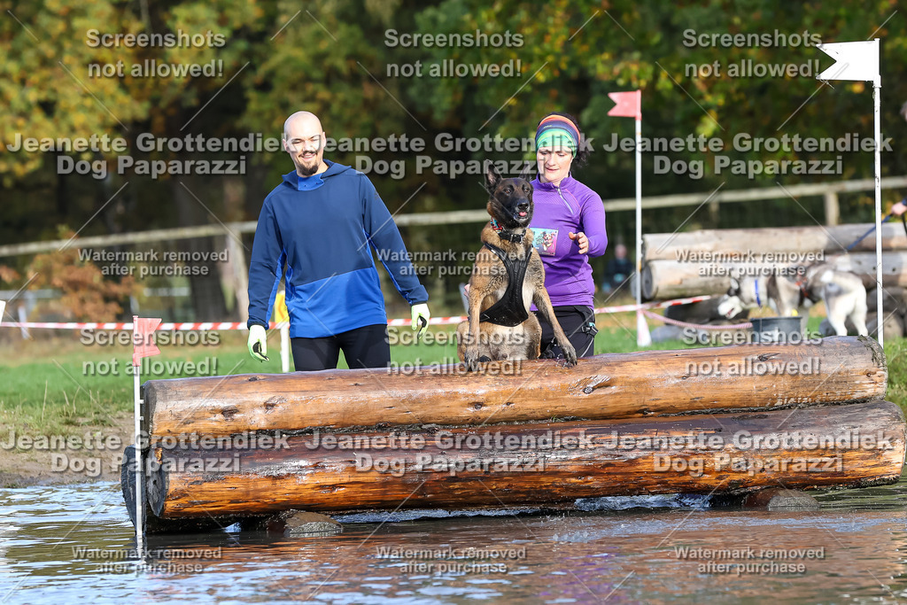 Dog Paparazzi - Strongdog 10-25-8335 | Dog Paparazzi Jeanette Grottendiek Fotografie & Videografie - Realisiert mit Pictrs.com