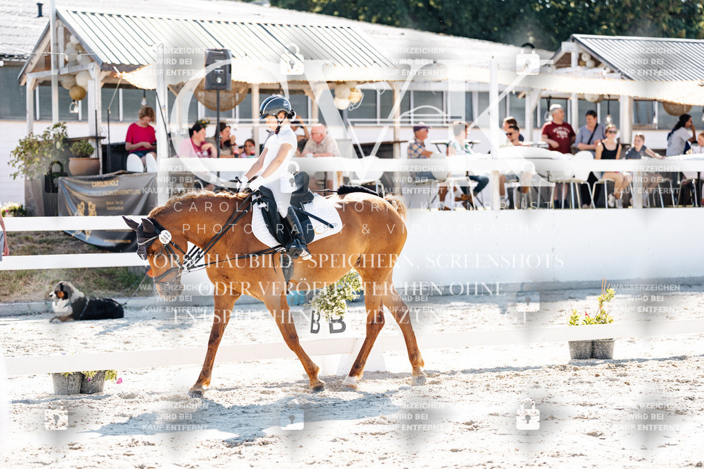 CK903299 | Turnierfotografie Pferdefotografie Trier Rheinland-Pfalz Pferdesport Reitsport Tierfotografie Sportfotografie Pferdevideo Pferdevideografie Equestrianvideography equestrianphotography  - Realisiert mit Pictrs.com
