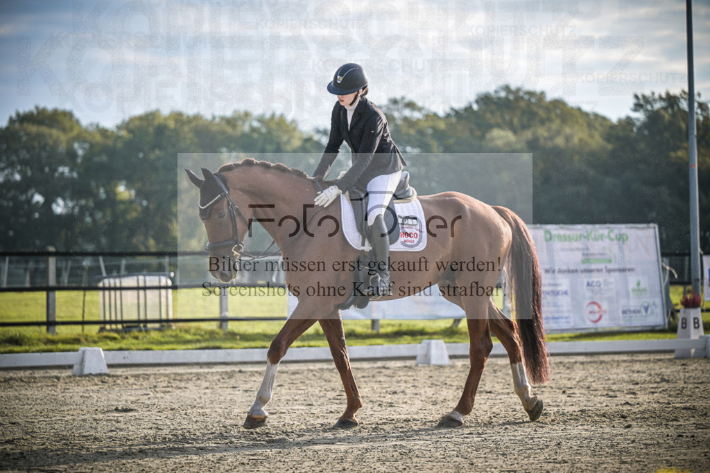 DOS_3420 | Entdecke hochwertige Reitturnierfotos von Foto Oger. Professionell, emotional und authentisch – jetzt Lieblingsmomente im Shop bestellen.Deutschlandweite Turnierfotografie. - Realisiert mit Pictrs.com