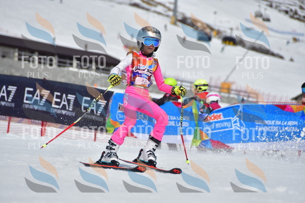 _DSC6800 | holidayphoto