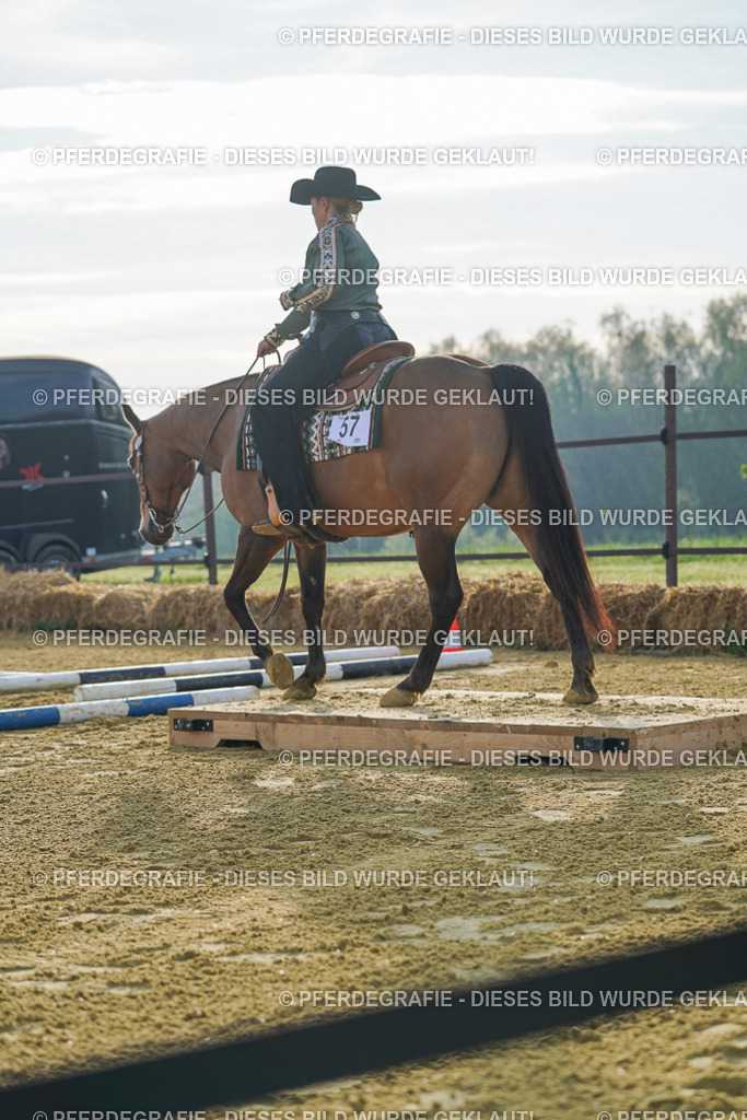 DSC00465 | Pferdegrafie