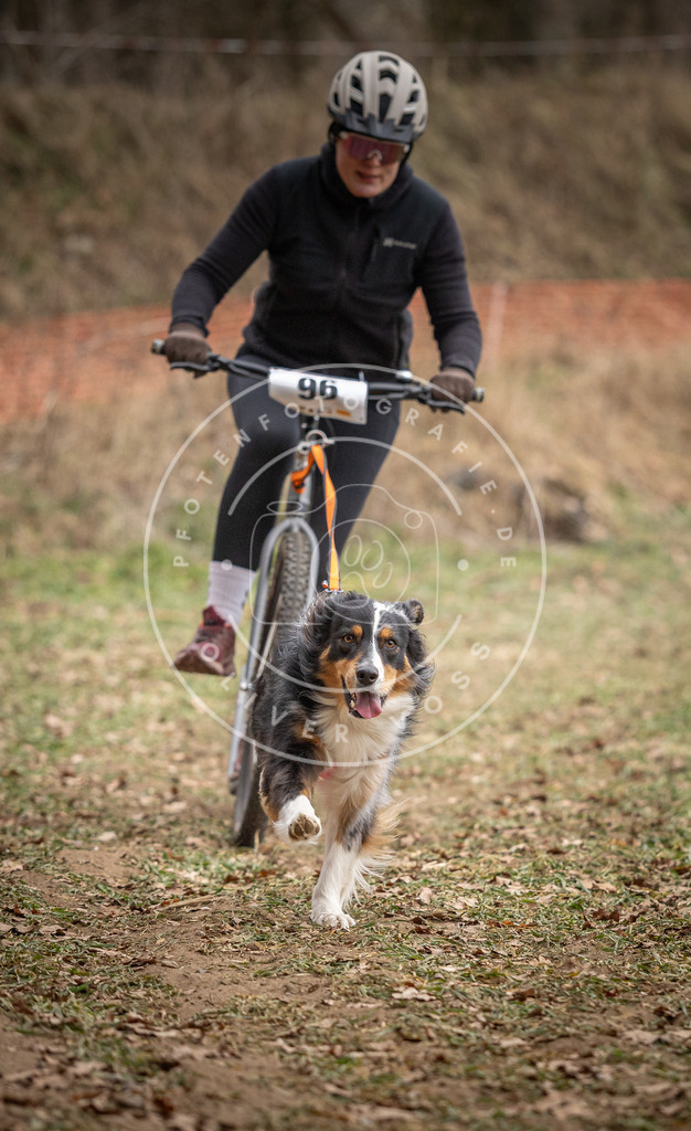 Pfotenfotografie_DV3A7062 | Hundefotografie, Tierfotograf, Pfotenfotografie, Fotoshooting Hund, Hunde Portrait, Hundesport, Hundeportraits, Heideshooting, Hunde, Sportfotograf, Hundefotograf, Turnierhundsport, THS,  - Realisiert mit Pictrs.com