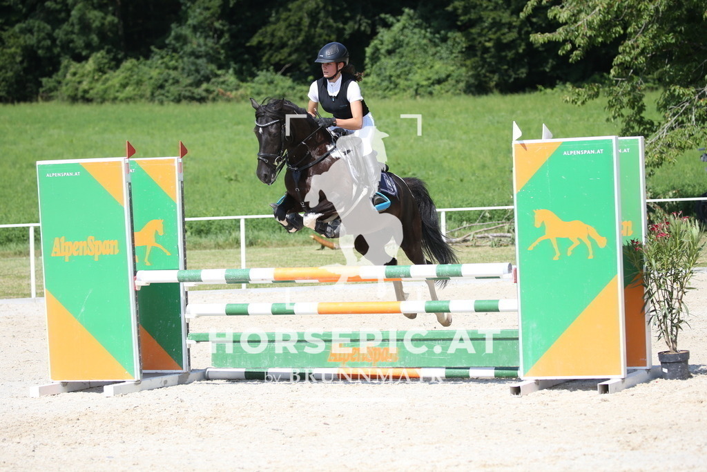 DL2Q1412 | Willkommen bei Brunnmayr - Design & Fotografie – Ihrem Spezialisten für Reitturniere und Pferdeveranstaltungen in Oberösterreich, Salzburg und Bayern! Seit über 17 Jahren sind wir leidenschaftlich dabei.