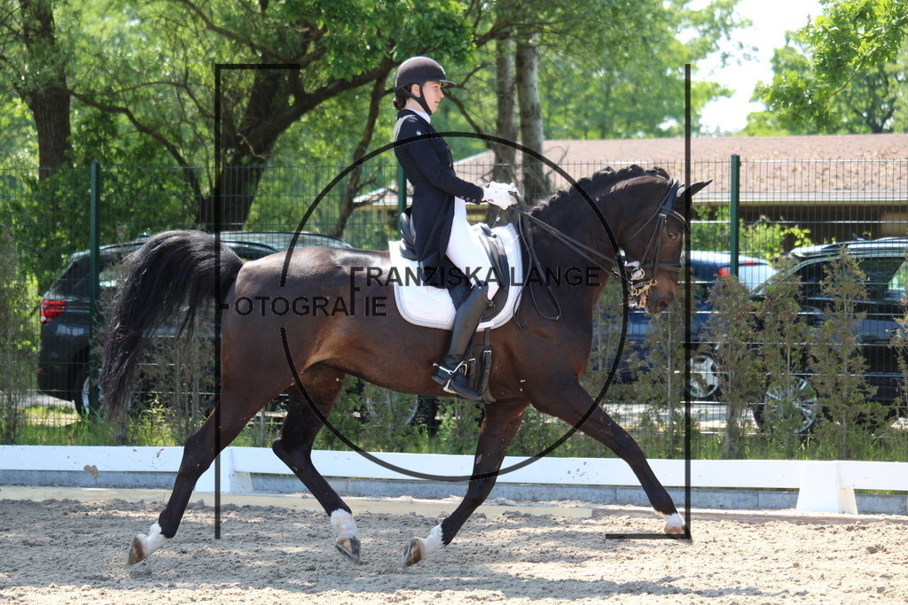 IMG_4672 | franziskalange - Realisiert mit Pictrs.com