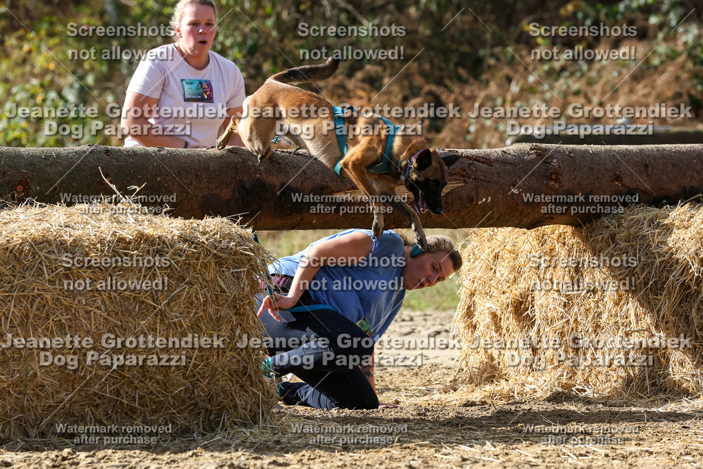 Dog Paparazzi - Strongdog 10-25-5458 | Dog Paparazzi Jeanette Grottendiek Fotografie & Videografie - Realisiert mit Pictrs.com
