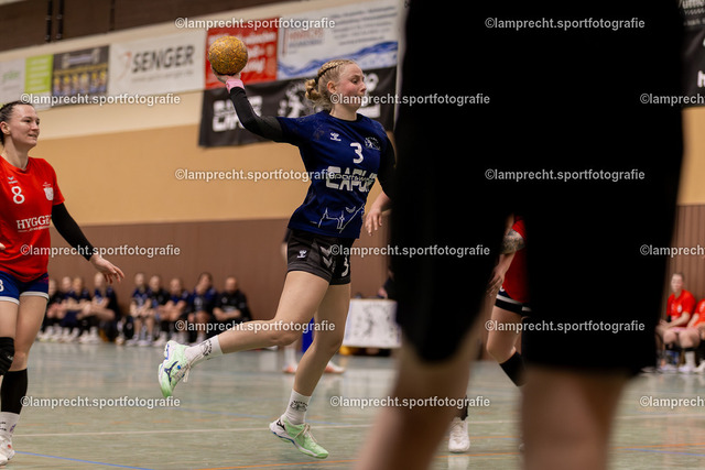 Handball I Damen I Saison 2025-2026 I Verbandsliga Süd I 15. Spieltag I HSG Kalkberg 06 - HSG Holsteinische Schweiz 171 | Herzlich willkommen in meiner Fotogalerie für Sportmannschaften. Schau gerne mal rein, vielleicht ist Dein Team ja auch dabei! Falls nicht, schreib mir und wir ändern das! :)  - Realisiert mit Pictrs.com
