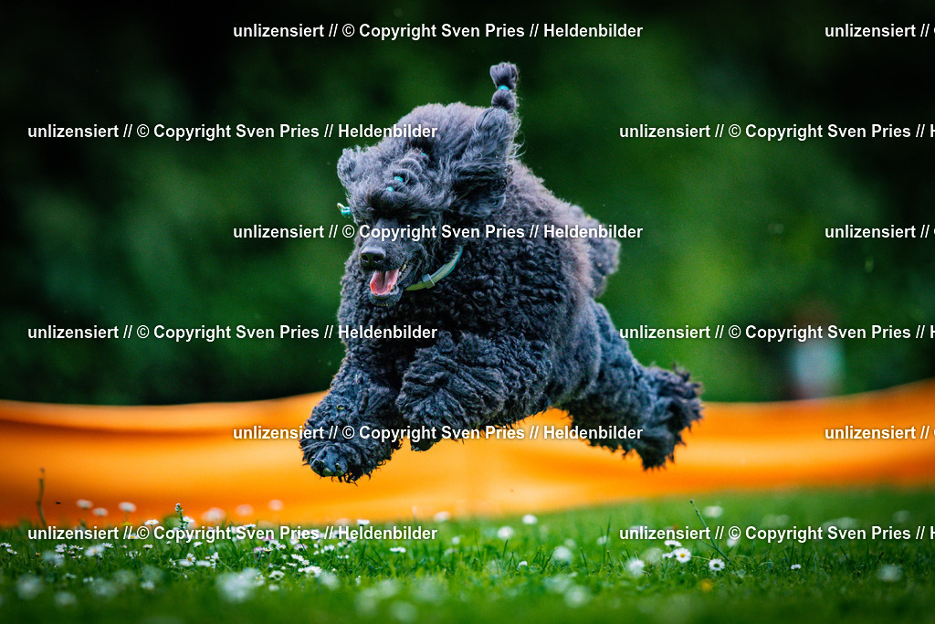 Sven Pries | 2025-05-29 - Pudelrennen KA-Durlach - Realisiert mit Pictrs.com