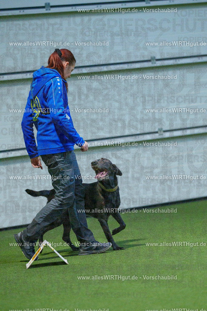 7R502494 | Professionelle Tierfotografie in Mönchengladbach von Daniel Wirth (allesWIRTHgut). Liebevolle & natürliche Bilder von Hunden & Katzen für unvergessliche Erinnerungen.