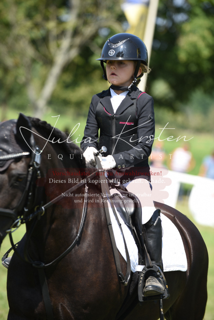 DSC_9967 | Pferde- und Turnierfotografie in Westsachsen. Pferdeportraits, Auftragszeichnungen und intuitive Kunst.