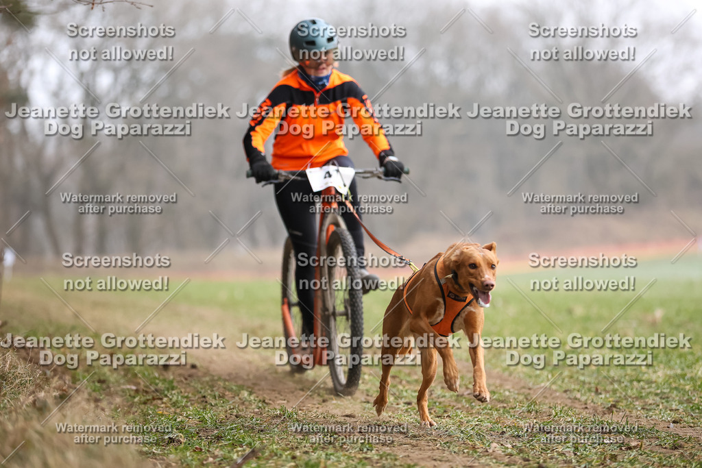 Dog Paparazzi - Plate 2026-132 | Dog Paparazzi Jeanette Grottendiek Fotografie & Videografie - Realisiert mit Pictrs.com