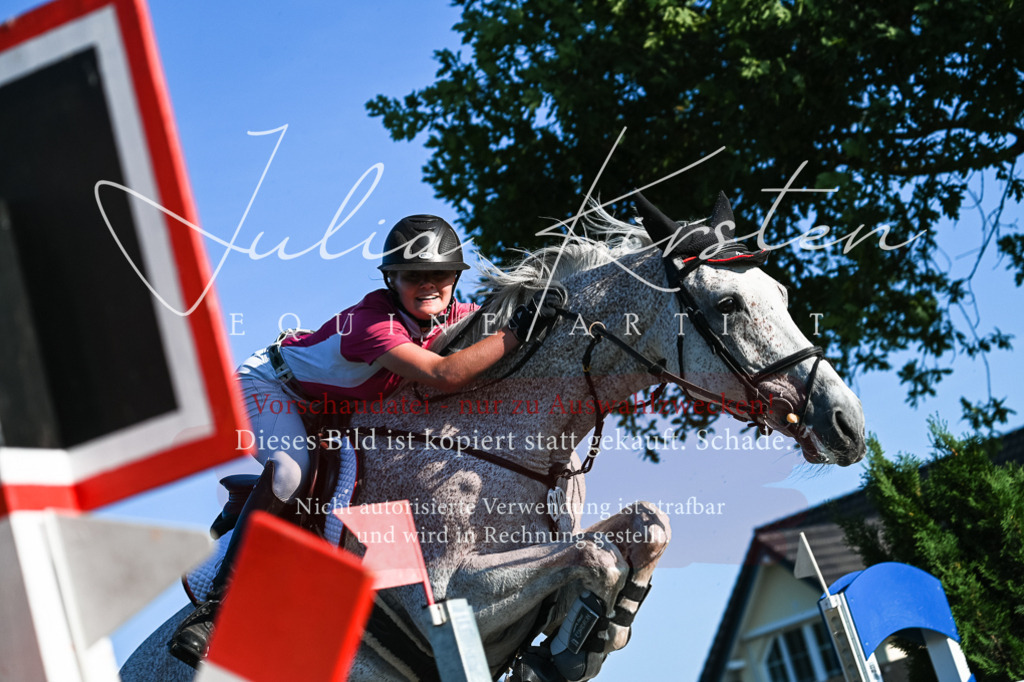 DSC_3139 | Pferde- und Turnierfotografie in Westsachsen. Pferdeportraits, Auftragszeichnungen und intuitive Kunst.