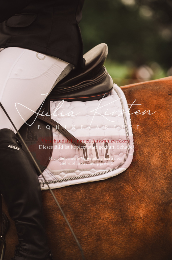 DSC_4783 | Pferde- und Turnierfotografie in Westsachsen. Pferdeportraits, Auftragszeichnungen und intuitive Kunst.