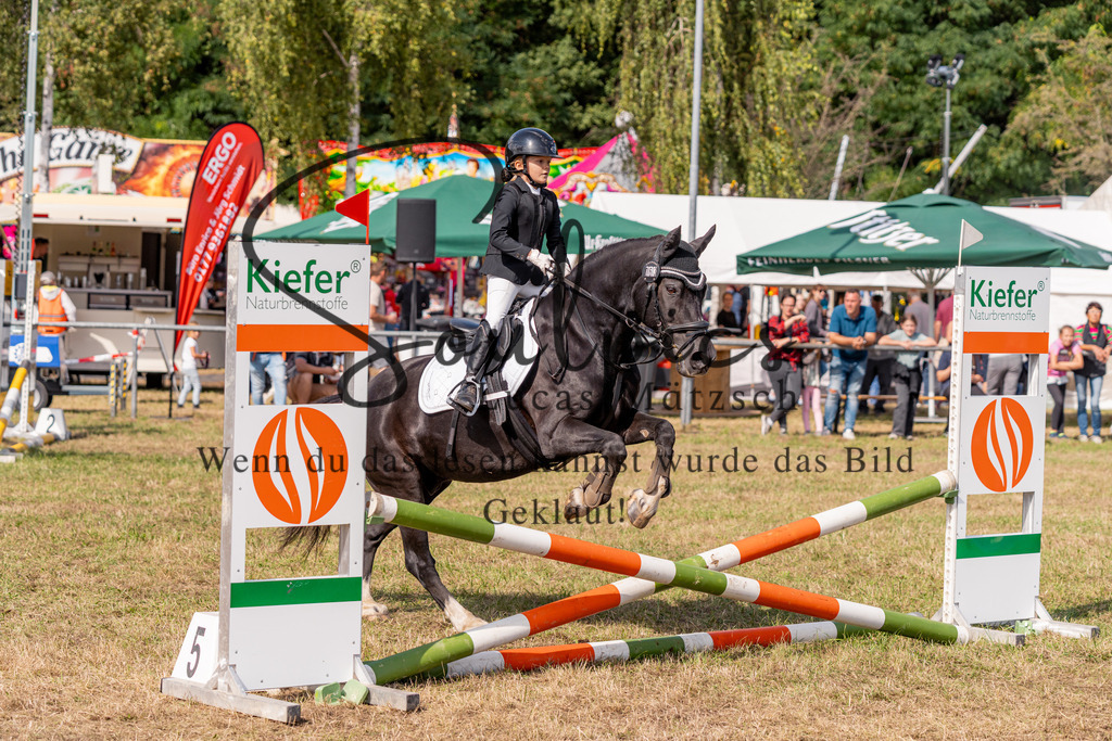 A7V08643 | Pferdefotograf