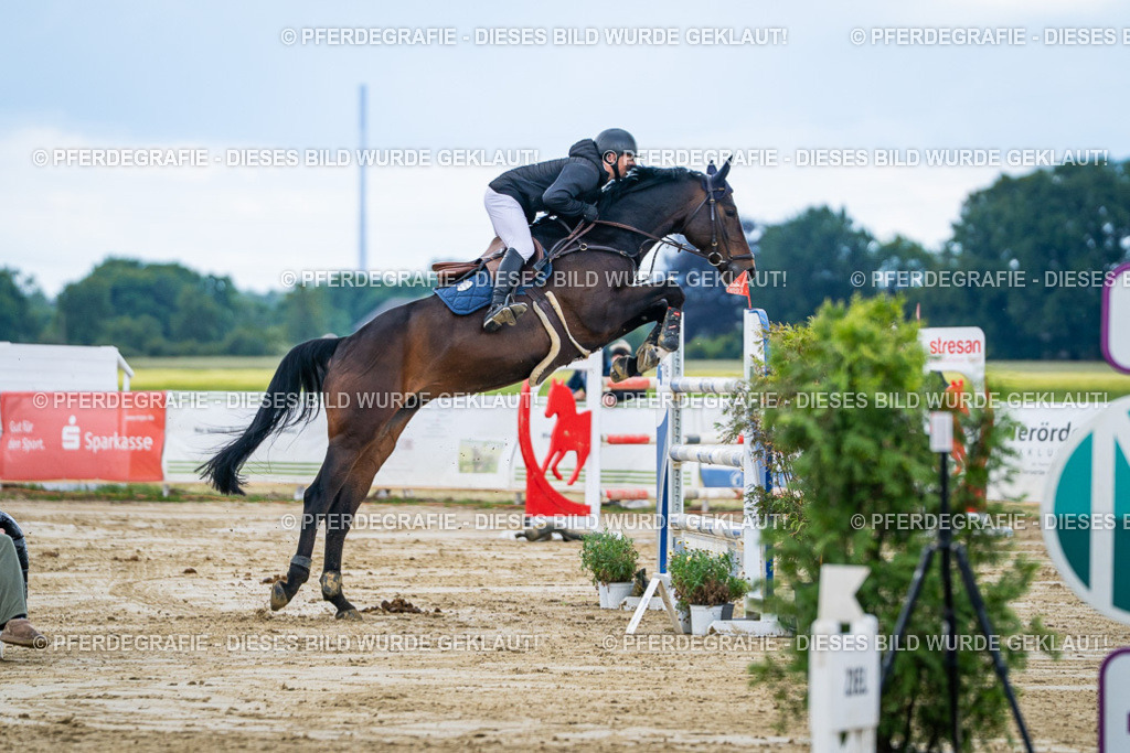 DSC05414 | Pferdegrafie