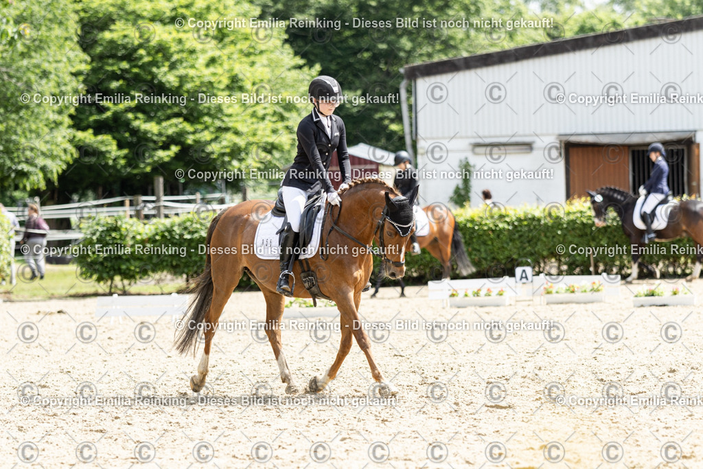 CL5A8583 | Emilia Reinking Fotografie - Realisiert mit Pictrs.com