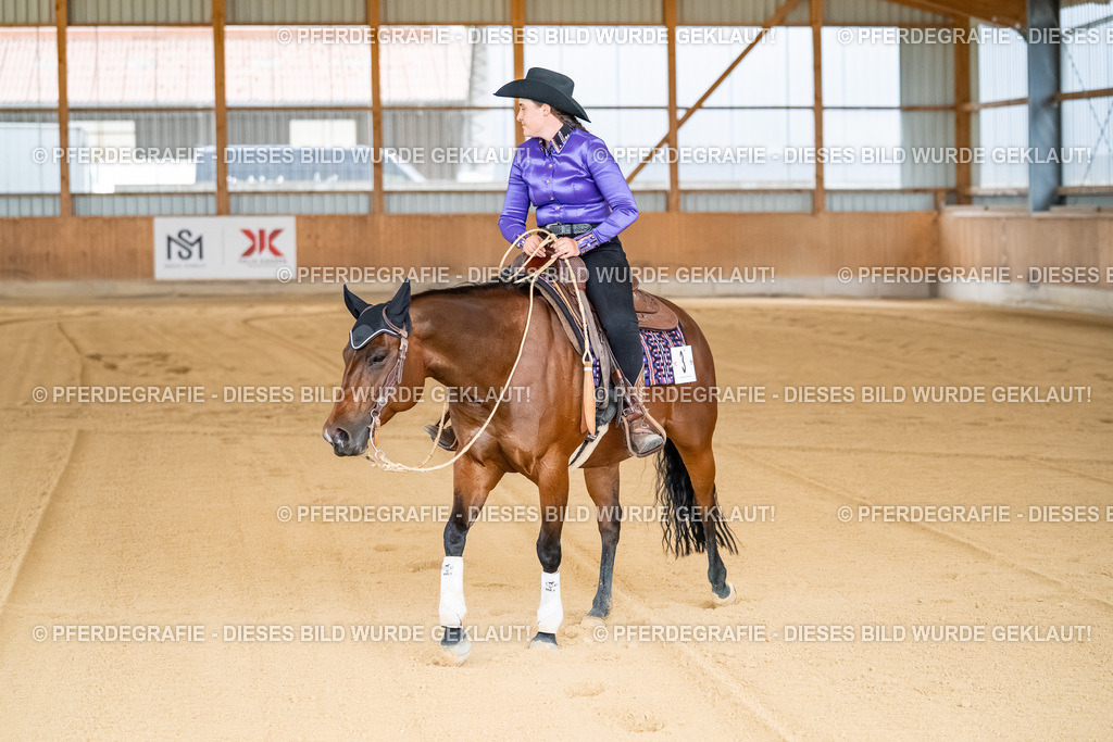 DSC07833 | Pferdegrafie