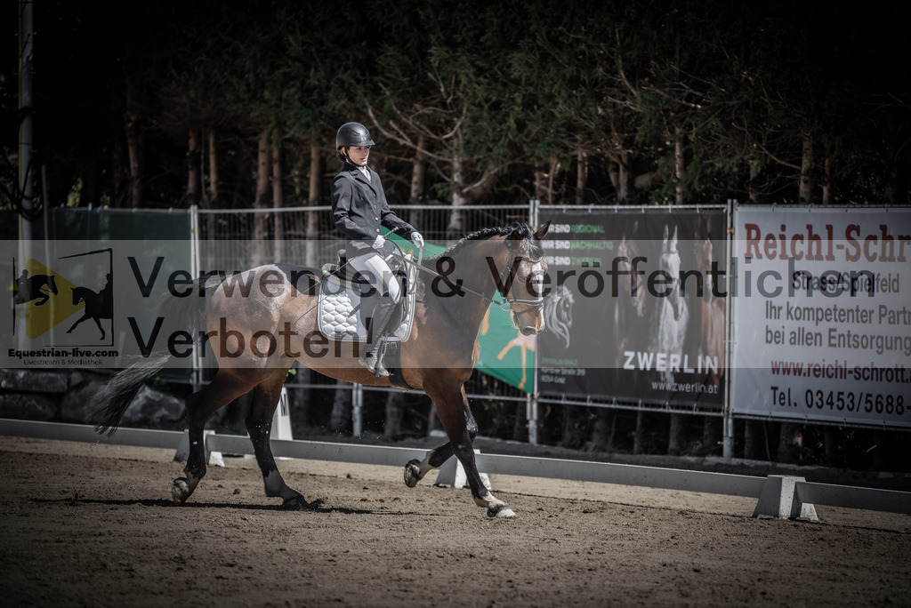 DSC_0331 | equestrian-live-com