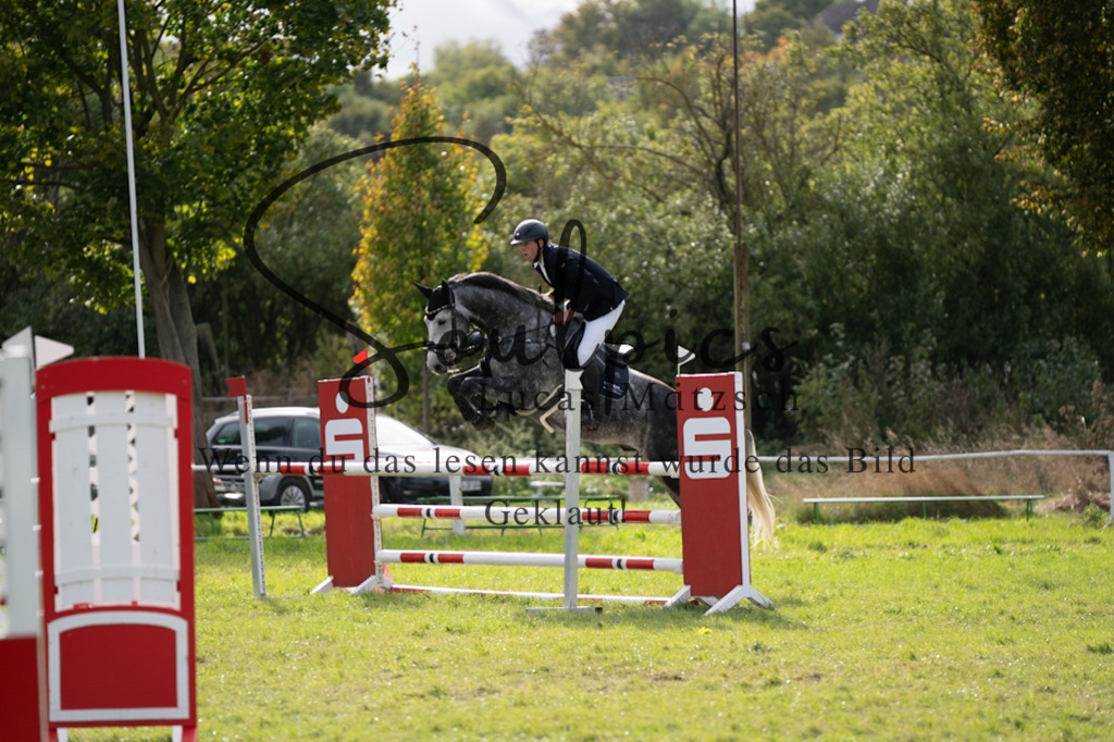 A7V07378 | Pferdefotograf