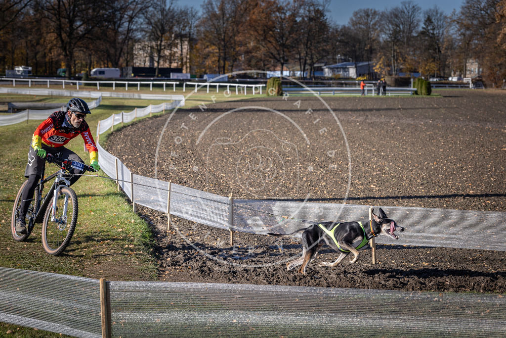 CaniXpix_DV3A6067 | Hundefotografie, Tierfotograf, Pfotenfotografie, Fotoshooting Hund, Hunde Portrait, Hundesport, Hundeportraits, Heideshooting, Hunde, Sportfotograf, Hundefotograf, Turnierhundsport, THS,  - Realisiert mit Pictrs.com