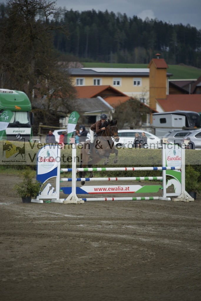 _DSC7881 | equestrian-live-com