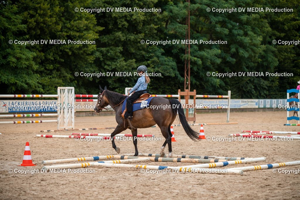 ZS2_8051 | dv-media-shop - Realisiert mit Pictrs.com