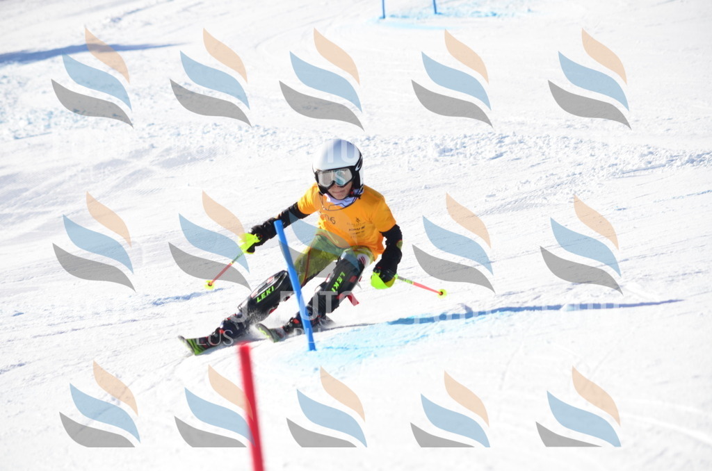 C6232 | holidayphoto