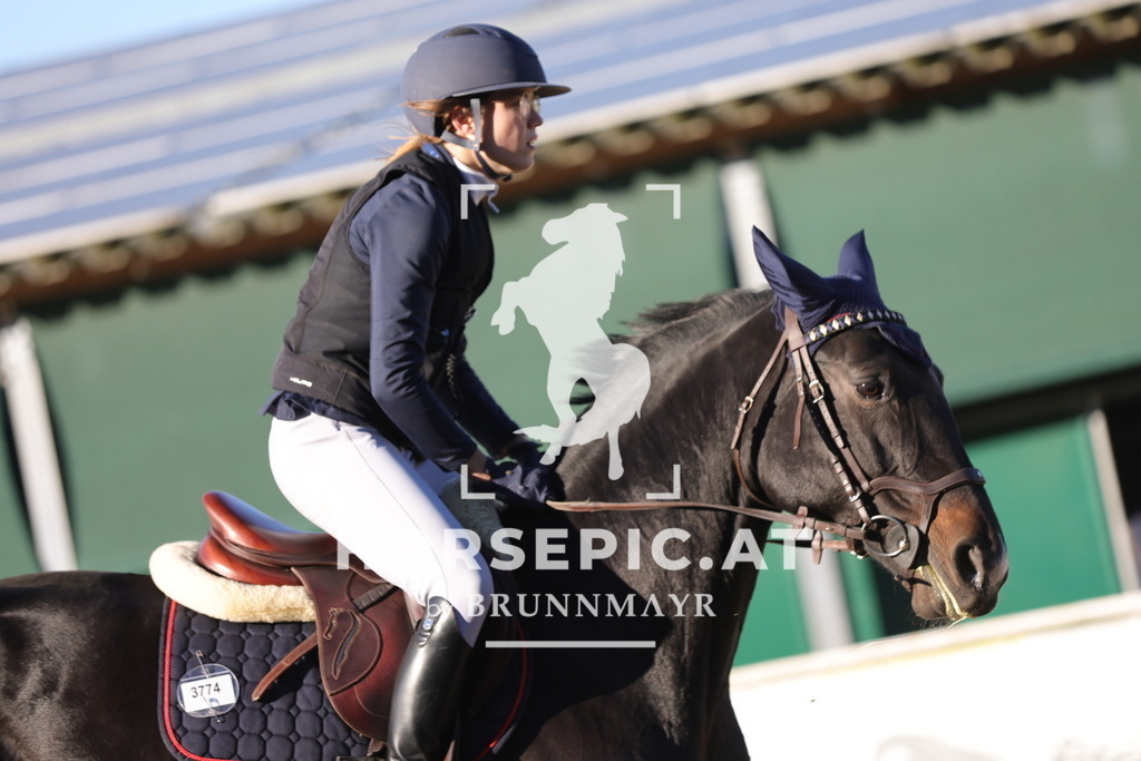 0P6A1691 | Willkommen bei Brunnmayr - Design & Fotografie – Ihrem Spezialisten für Reitturniere und Pferdeveranstaltungen in Oberösterreich, Salzburg und Bayern! Seit über 17 Jahren sind wir leidenschaftlich dabei.