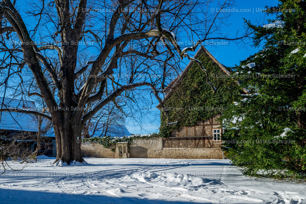 10049-4939 - Klostergärten Drübeck | Stockfoto und Bilderpool mit Bildmaterial aus Deutschland, dem Harz, Halberstadt, Quedlinburg, Wernigerode und weltweit. Qualitativ hochwertige und professionelle Fotos anschauen und kaufen. - Realisiert mit Pictrs.com