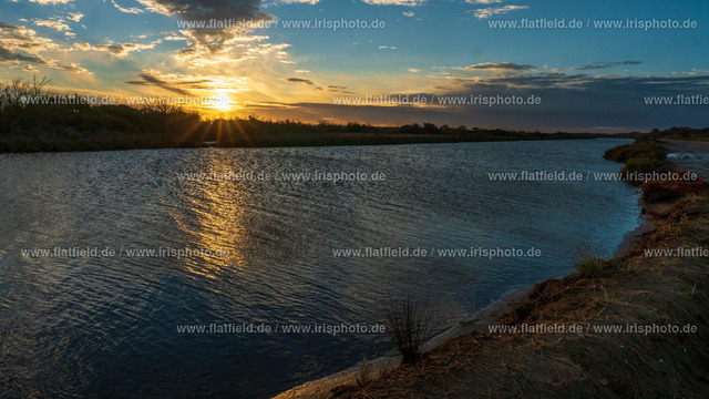 Morgens in der Camargue | Landschaftsfoto Sonneuntergang an der Espiguette, Camargue