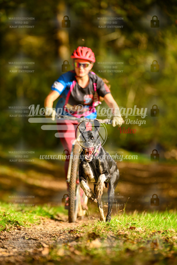 MompixPhotography_20TSB_E1_DS1-31 | PayLife