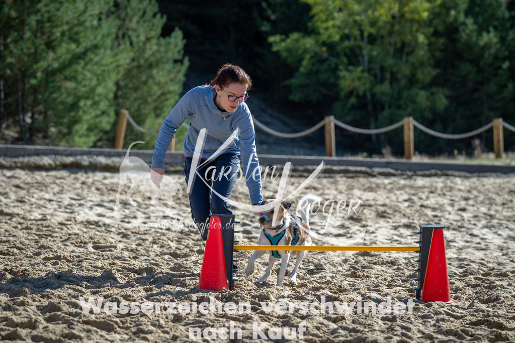 1222_ZZ92903-2 | kk-dogfotos