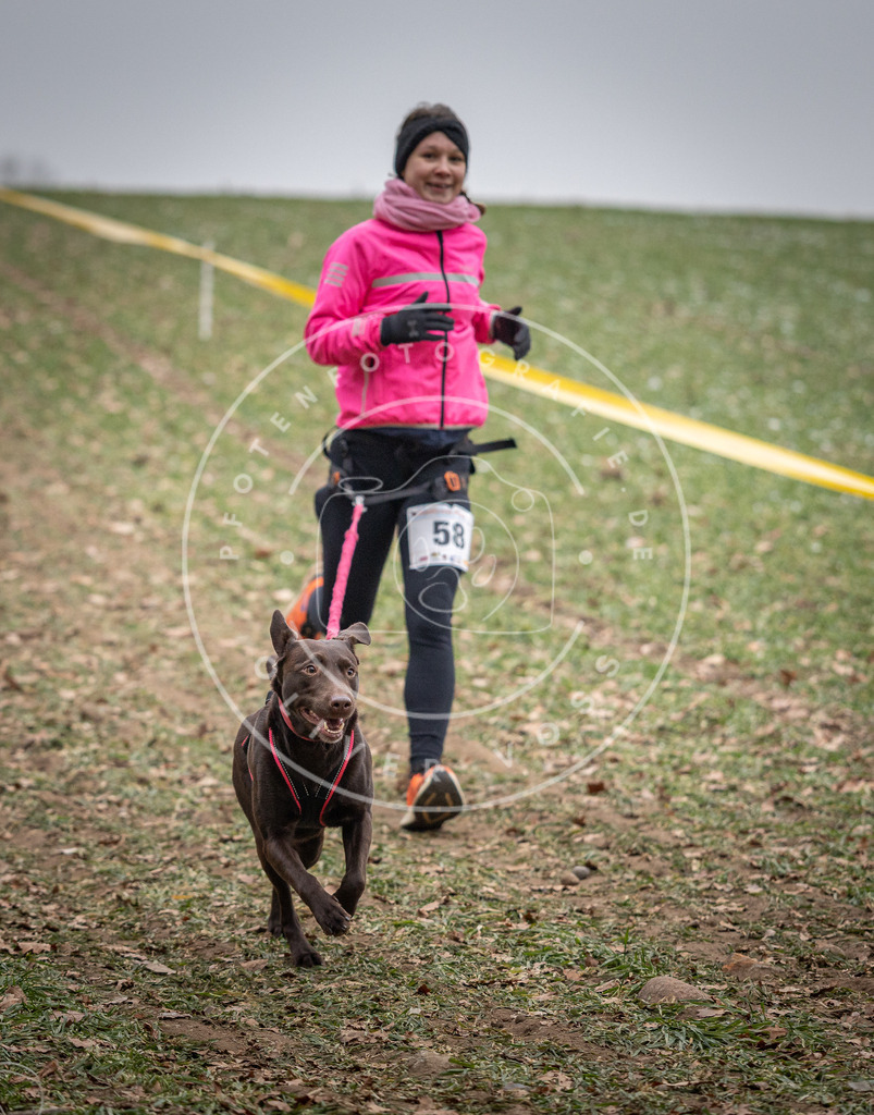 Pfotenfotografie_DV3A1851 | Hundefotografie, Tierfotograf, Pfotenfotografie, Fotoshooting Hund, Hunde Portrait, Hundesport, Hundeportraits, Heideshooting, Hunde, Sportfotograf, Hundefotograf, Turnierhundsport, THS,  - Realisiert mit Pictrs.com