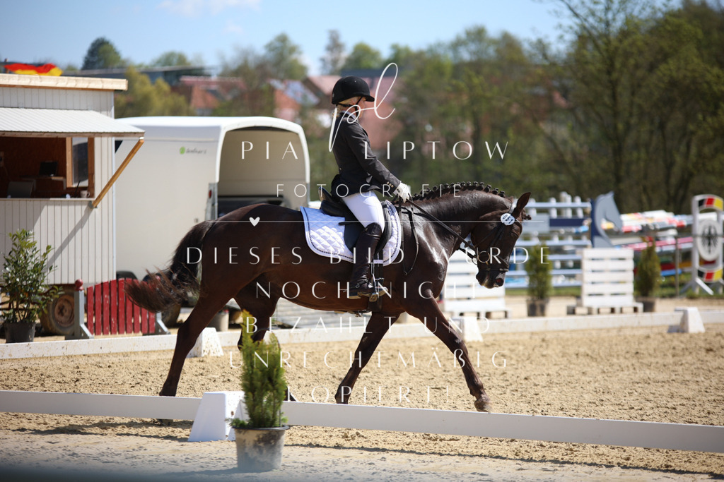 IMGT1696 | pl-fotografie