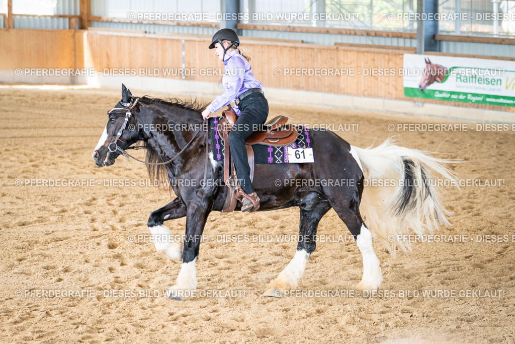 DSC03239 | Pferdegrafie