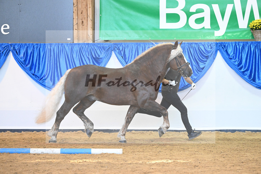 Kat-Nr. 119 Markward_HLG Marbach_53220857 | hf-fotografie - Realizzato con Pictrs.com