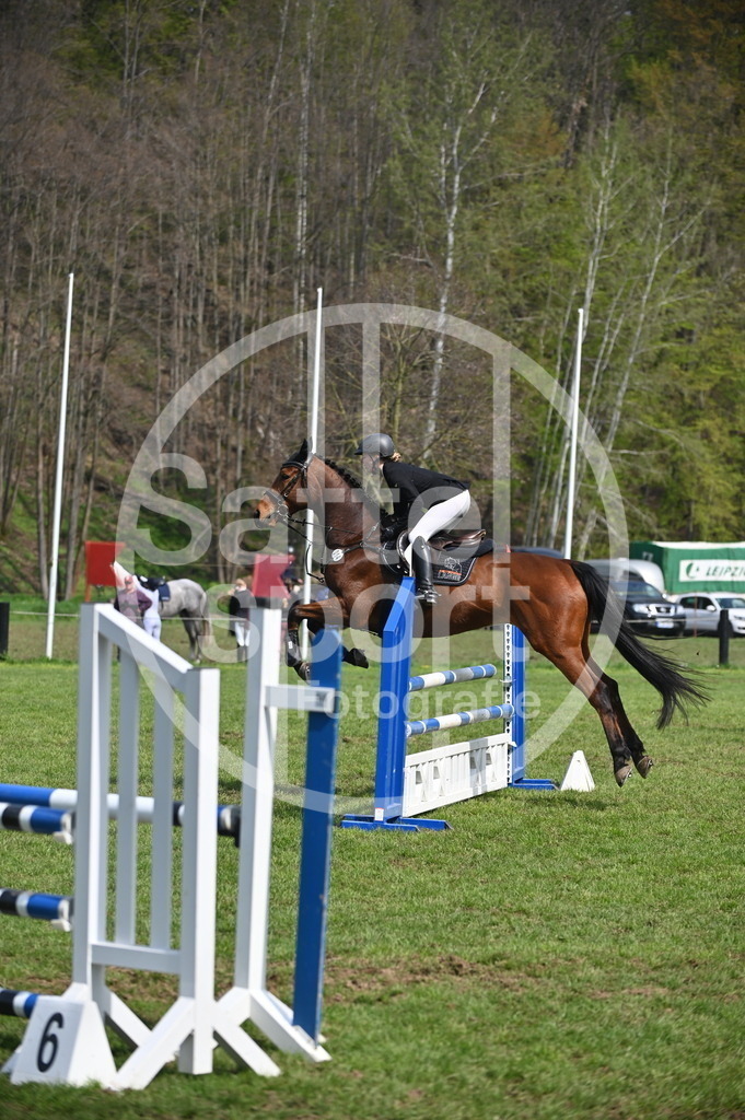 DSC_1315 | sattelsport - Realisiert mit Pictrs.com