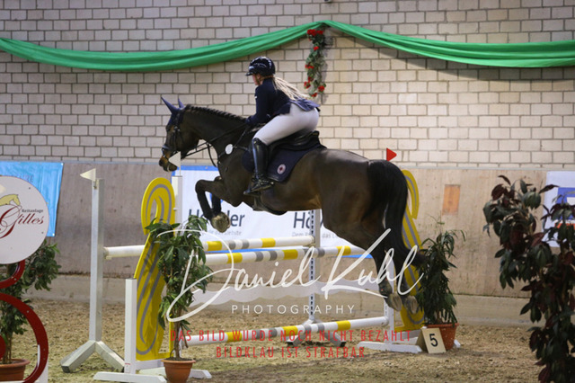 IMG_0848 | Deine Turnierfotos vom Reitturnier online kaufen: Dressur, Springen & Siegerehrung. Professionelle Pferdefotografie aus dem Rheinland – als Download & Print.Alternative: Turnierfotograf für den Pferdesport: Finde deine Fotos von Dressur- und Springturnier