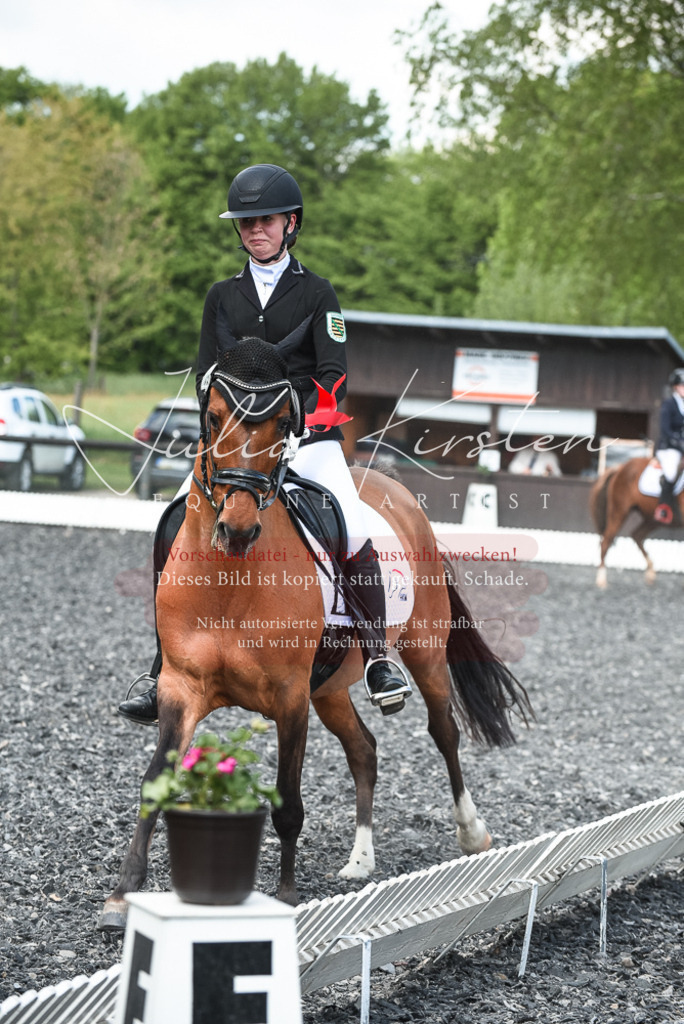 DSC_9085 | Pferde- und Turnierfotografie in Westsachsen. Pferdeportraits, Auftragszeichnungen und intuitive Kunst.