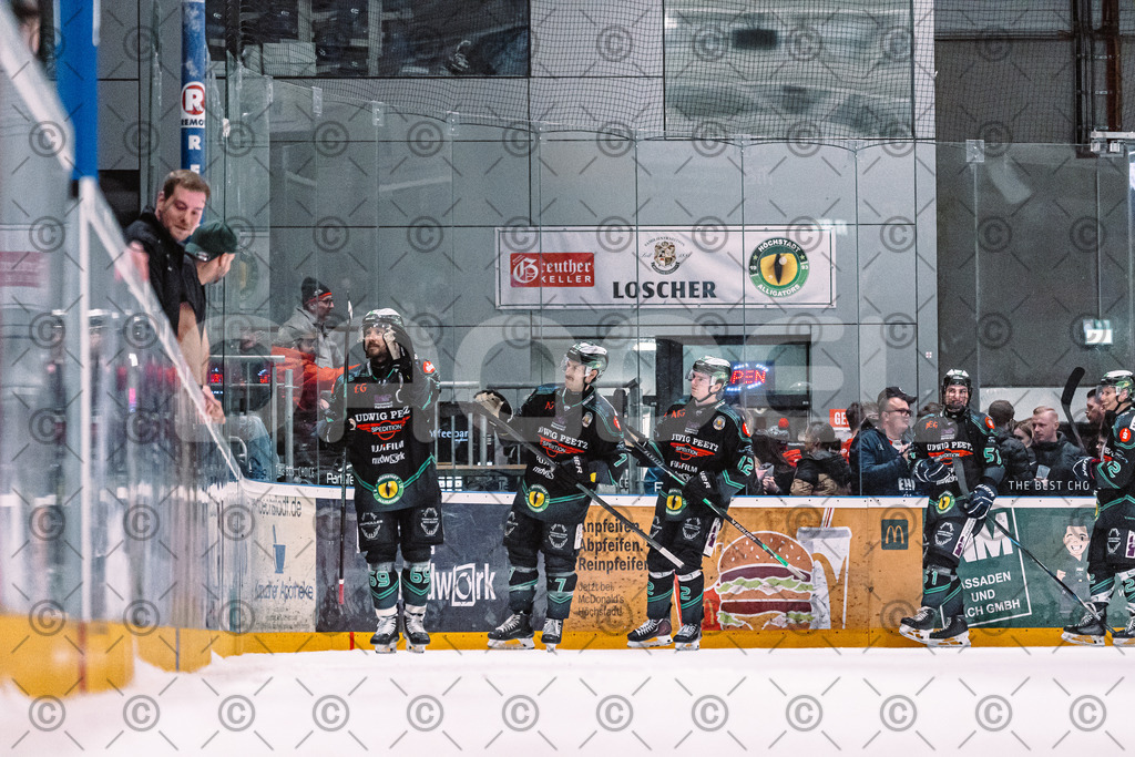 Alligators_vs_Selb_27_02_2026-56 | Höchstadt Alligators Fotogalerie: Eishockey-Action aus Franken. Professionelle Spielfotos, Portraits & Stadionbilder zum Download. Jetzt entdecken! - Realisiert mit Pictrs.com