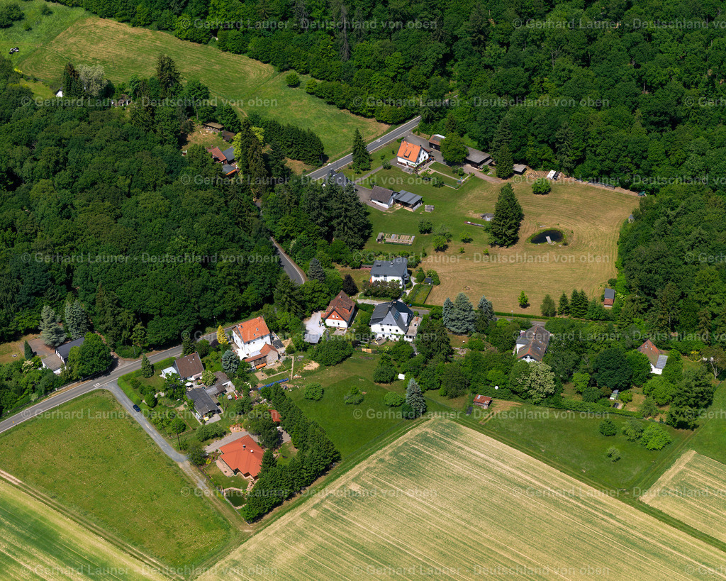 3108737 | Waldfriede bei Seesbach