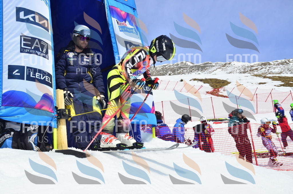 _ELE1786 | holidayphoto