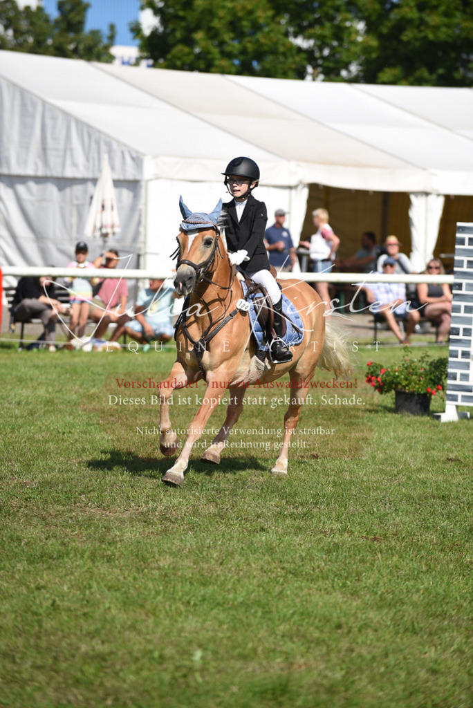 DSC_9049 | Pferde- und Turnierfotografie in Westsachsen. Pferdeportraits, Auftragszeichnungen und intuitive Kunst.
