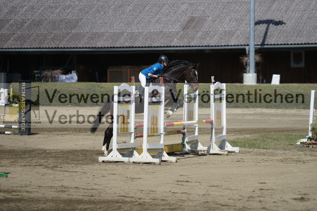 DSC02907 | equestrian-live-com