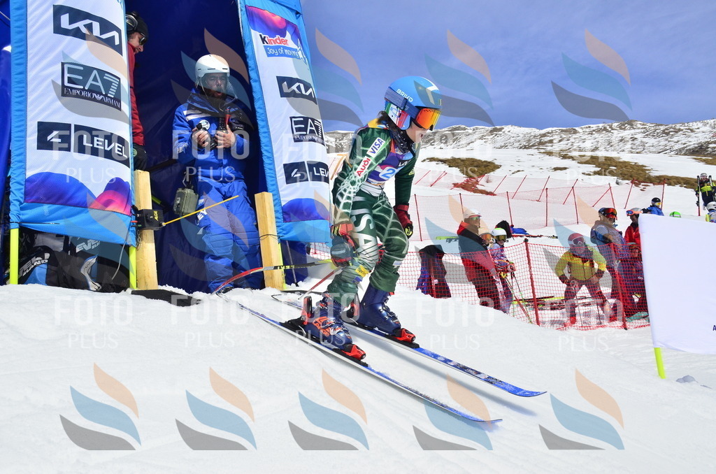 _ELE1969 | holidayphoto