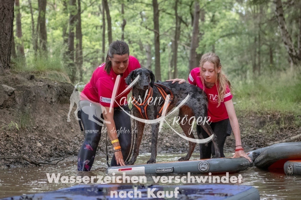 0901_ZZ99993T | kk-dogfotos